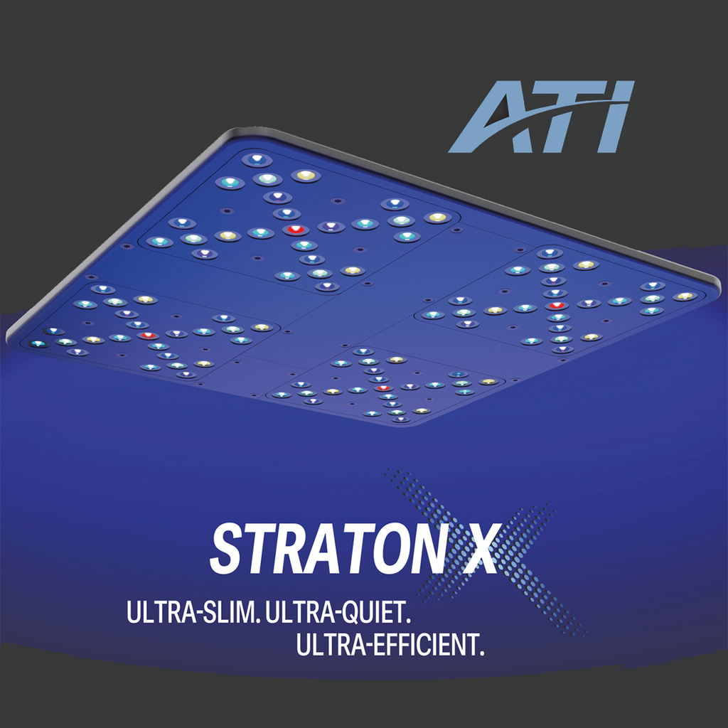 image-1022494-ATI-Straton-X-Main-6512b.jpg