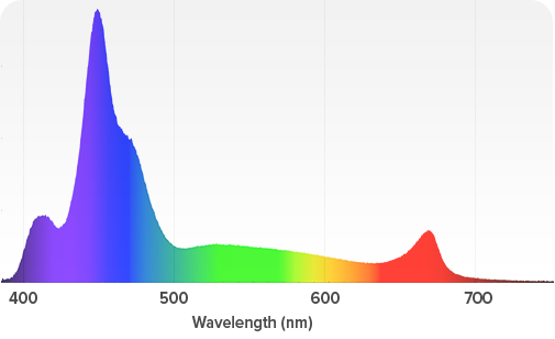 image-587683-spectrum_primeHD.png